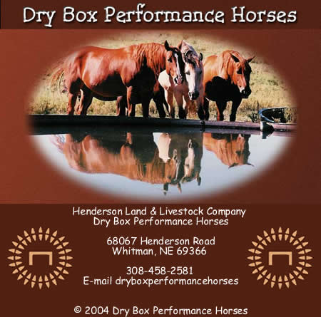 Click here to go to Dry Box Performance Horses web site