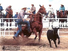 Mike on Willy at Cheyenne Pro Rodeo 